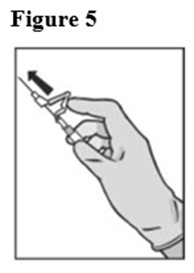 Figure 5 (Figure 5)