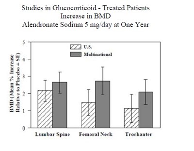 6 - 1203dd0c 809a 4409 b948 b5e816b8a63a 06