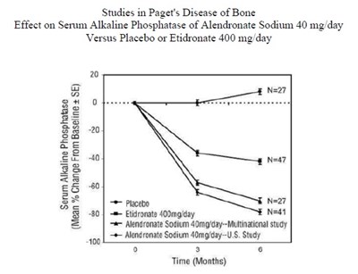 7 - 1203dd0c 809a 4409 b948 b5e816b8a63a 07