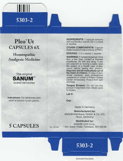 pleo-ut-caps-01.jpg Principal Display Panel - 5 Capsules Carton - pleo ut caps 01