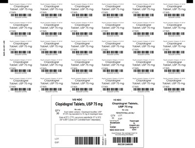 Principal Display Panel (Clopidogrel Tabs 8625 11)