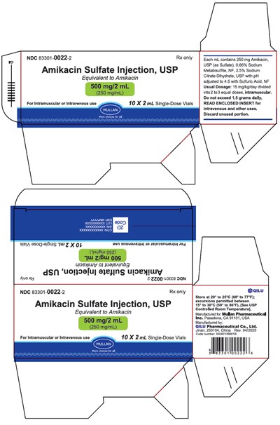 PRINCIPAL DISPLAY PANEL - 2 mL Vial Carton - amikacin 02