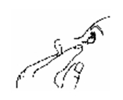 Image 3 (Image 03)