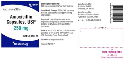 amoxicillin-fig1.jpg PACKAGE LABEL-PRINCIPAL DISPLAY PANEL - 250 mg (100 Capsules Bottle) - amoxicillin fig1