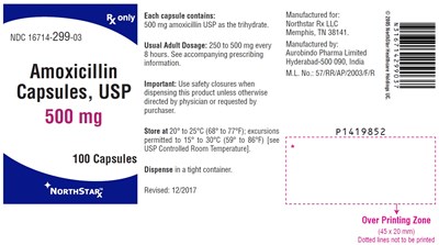 amoxicillin-fig2.jpg PACKAGE LABEL-PRINCIPAL DISPLAY PANEL - 500 mg (100 Capsule Bottle) - amoxicillin fig2
