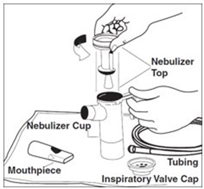 Figure-d.jpg (Figure D)
