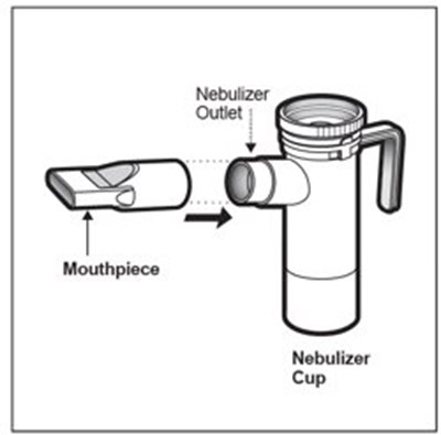 Figure-l.jpg (Figure L)