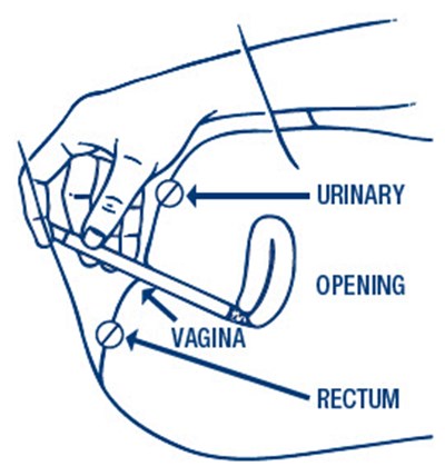Figure (Lagicam 05)