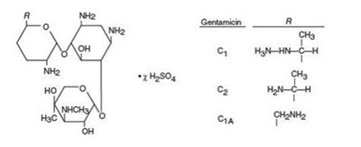 The structural formula for Gentamicin is obtained from cultures of Micromonospora purpurea. It is a mixture of the sulfate salts of gentamicin C1, C2, and C1A. All three components appear to have simi - gentamicin sulfate 01