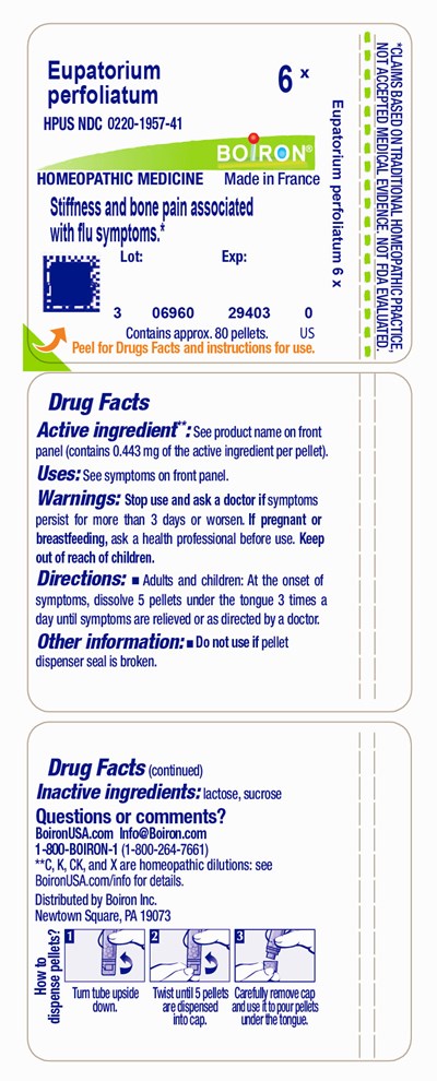 Label (Eupper6x)