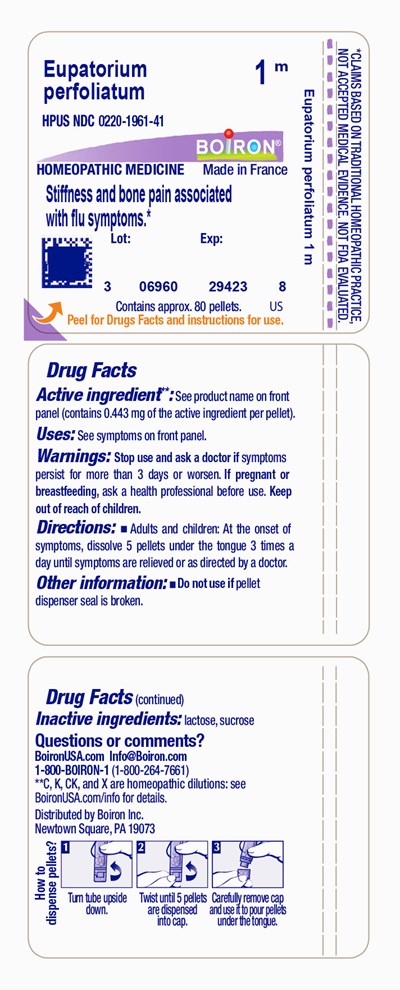 Label (Eupper1m)
