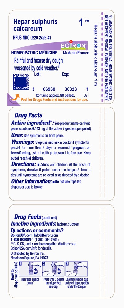 Label (Hepsulcal1m)