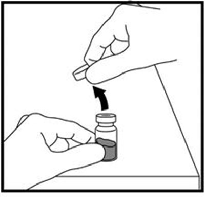 Figure D - zomacton 04