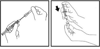 Figure P - zomacton 16