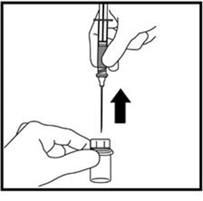 Figure R - zomacton 18
