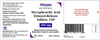 Mycophenolicacid-360mg-120tab-b (Mycophenolicacid 360mg 120tab B)