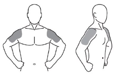 Figure 1 (Image 01)