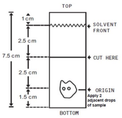 Tlc Plate Diagram (Image 02)