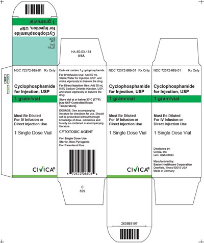 Representative Carton Label 72572-085-01 1g (Image 03)