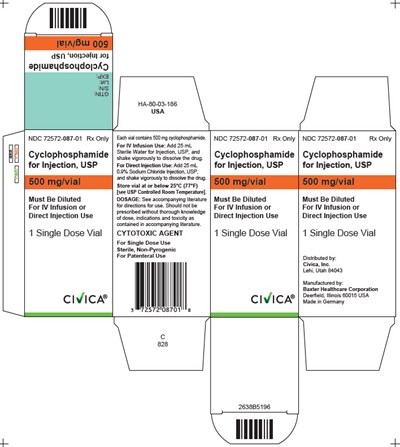 image-07.jpg Representative Carton Label 72572-087-01 500 mg - image 07