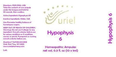Product Label (Hyp6amp)
