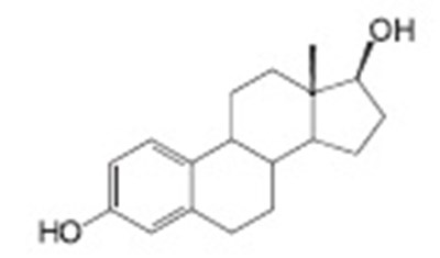 Structure.jpg (3f508857 298d 48f0 B6f0 D49acd996bef 01)