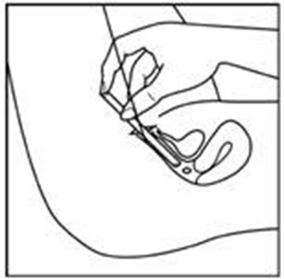 Fig-3.jpg (Image 03)
