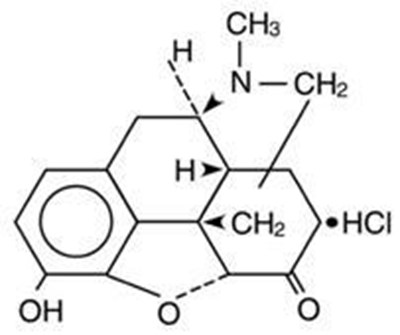 Structure Image (4921bc40 Figure 01)