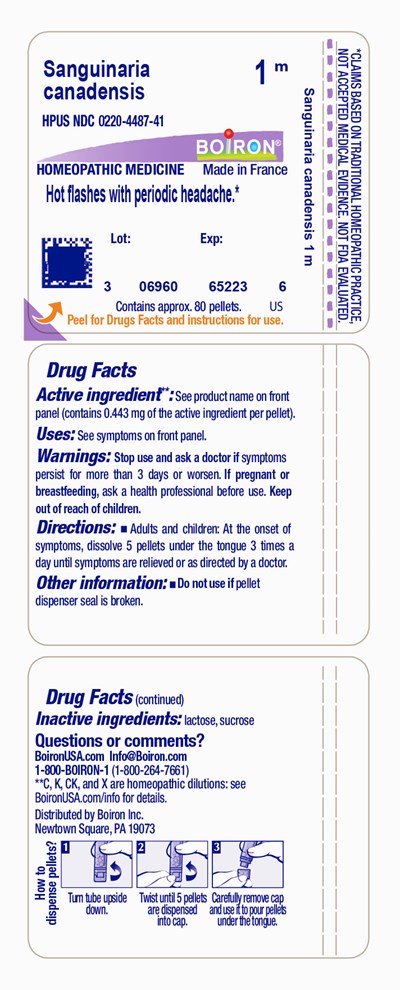 SANCAN1M.jpg label - SANCAN1M