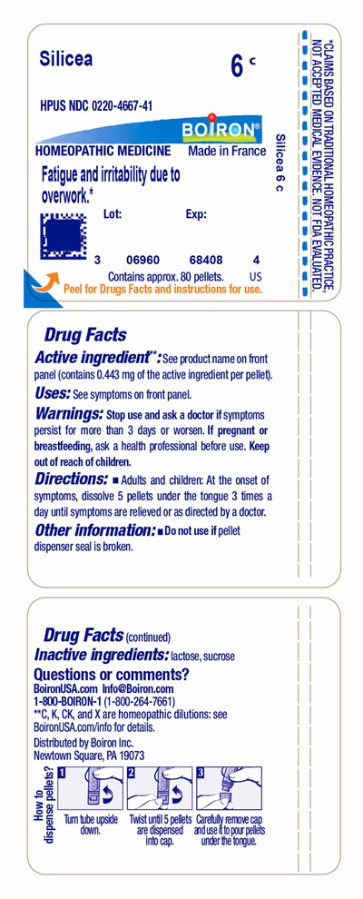 SILICEA6C.jpg label - SILICEA6C