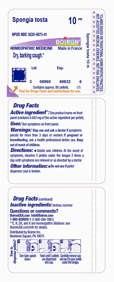 Label (Spotos10m)