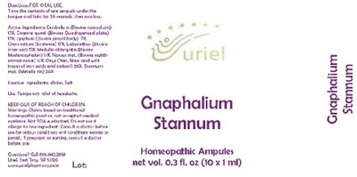 Gnaphaliumstannumampules
