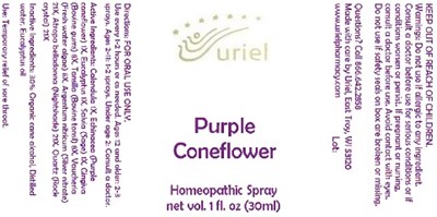 PurpleConeflowerSpray.jpg PurpleConeflowerSpray - PurpleConeflowerSpray