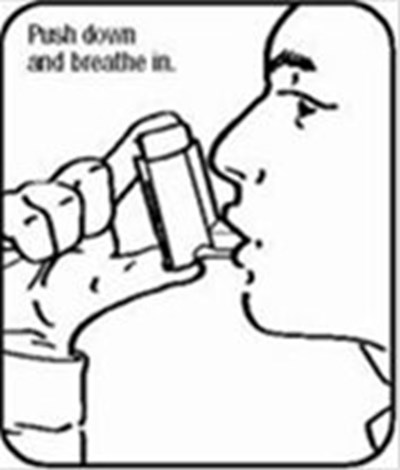 Image F (Imagef)