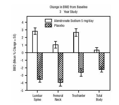 Osteoporosis Prevention Studies In Postmenopausal Women (1752745b 35fd 4b7e B676 Bff3edd7e8ca 07)