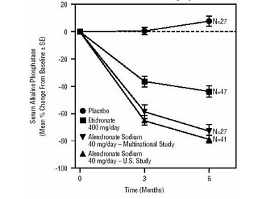 1752745b-35fd-4b7e-b676-bff3edd7e8ca-09.jpg Studies in Paget's Disease of Bone Effect on Serum Alkaline Phosphatase of Alendronate Sodium 40 mg/day Versus Placebo or Etidronate 400 mg/day - 1752745b 35fd 4b7e b676 bff3edd7e8ca 09
