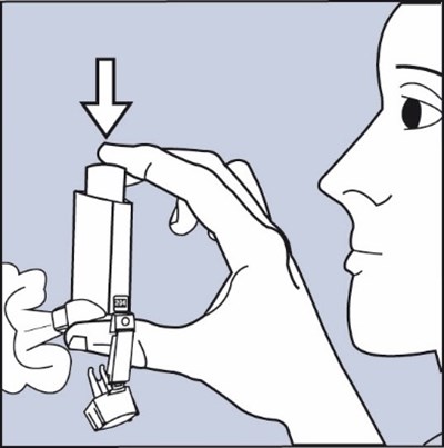 Figure C (Figurec)