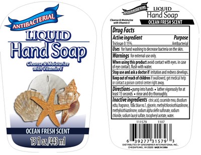 Antibacterial Liquid Hand Soap (Oceanscent Soap)