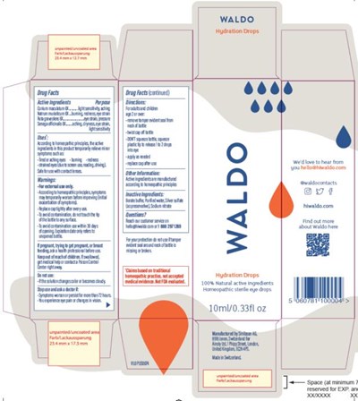 PRINCIPAL DISPLAY PANELWaldoHydration Drops100% Natural active ingredientsHomeopathic sterile eye drops10 ml/ 0.33 fl oz - waldo hydration drops 01