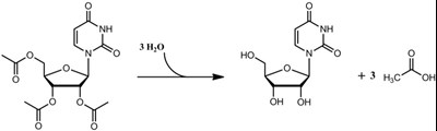 Figure 1 (Xuriden 02)
