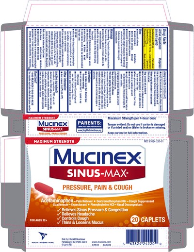 Principal Display Panel (20 Caplet Blister Pack Carton)