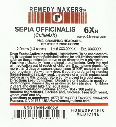 Sepiaofficinalis6x (Sepiaofficinalis6x)