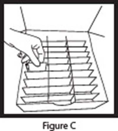 Figure C (Olp00 0003 06)