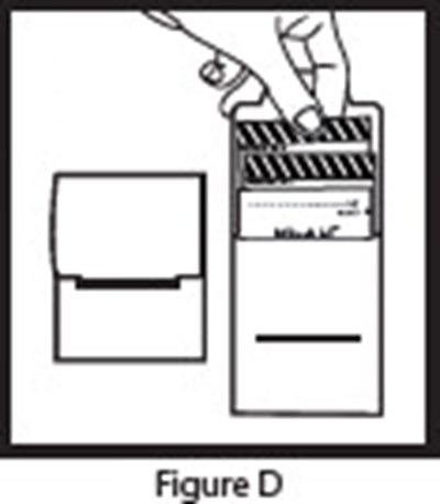 Figure D (Olp00 0003 07)