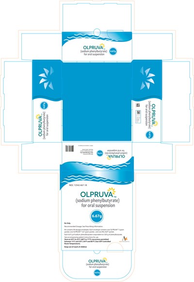 olp00-0003-29.jpg Principal Display Panel - 6.67 g Carton Label - olp00 0003 29