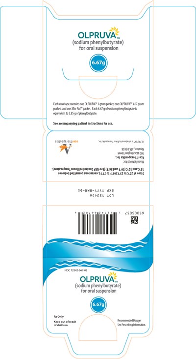 olp00-0003-30.jpg Principal Display Panel - 6.67 g Envelope Label - olp00 0003 30