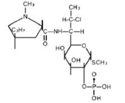 Formula1.jpg - Formula1