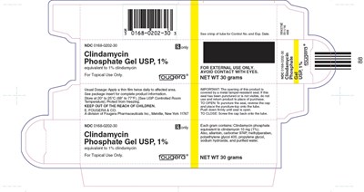 clindagellcarton30g.jpg pdp - clindagellcarton30g