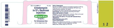 clindamycin-in-5-percent-dextrose-injection-2.jpg 300mg vial - clindamycin in 5 percent dextrose injection 2