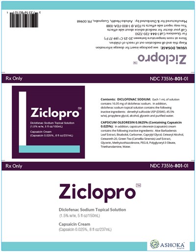 Principal Display Panel (Kit Carton Label)
